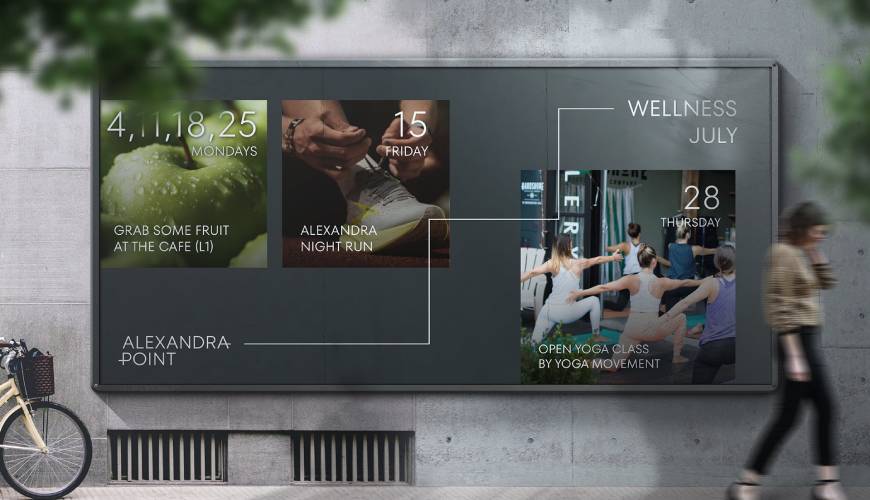 江夏区画册设计公司如何进行品牌审核