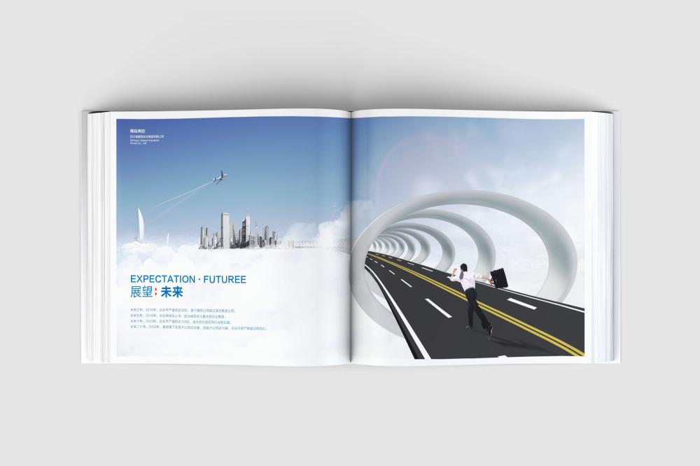 江夏区画册设计